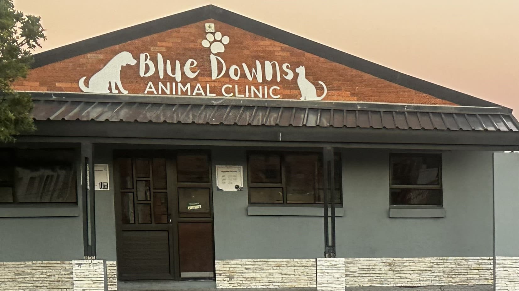 Blue Downs Animal Clinic storefront or listing image